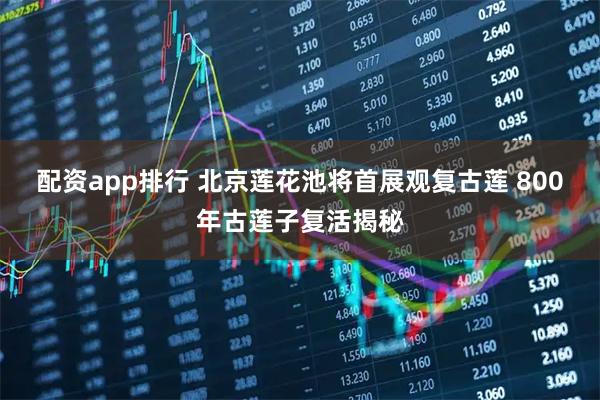 配资app排行 北京莲花池将首展观复古莲 800年古莲子复活揭秘